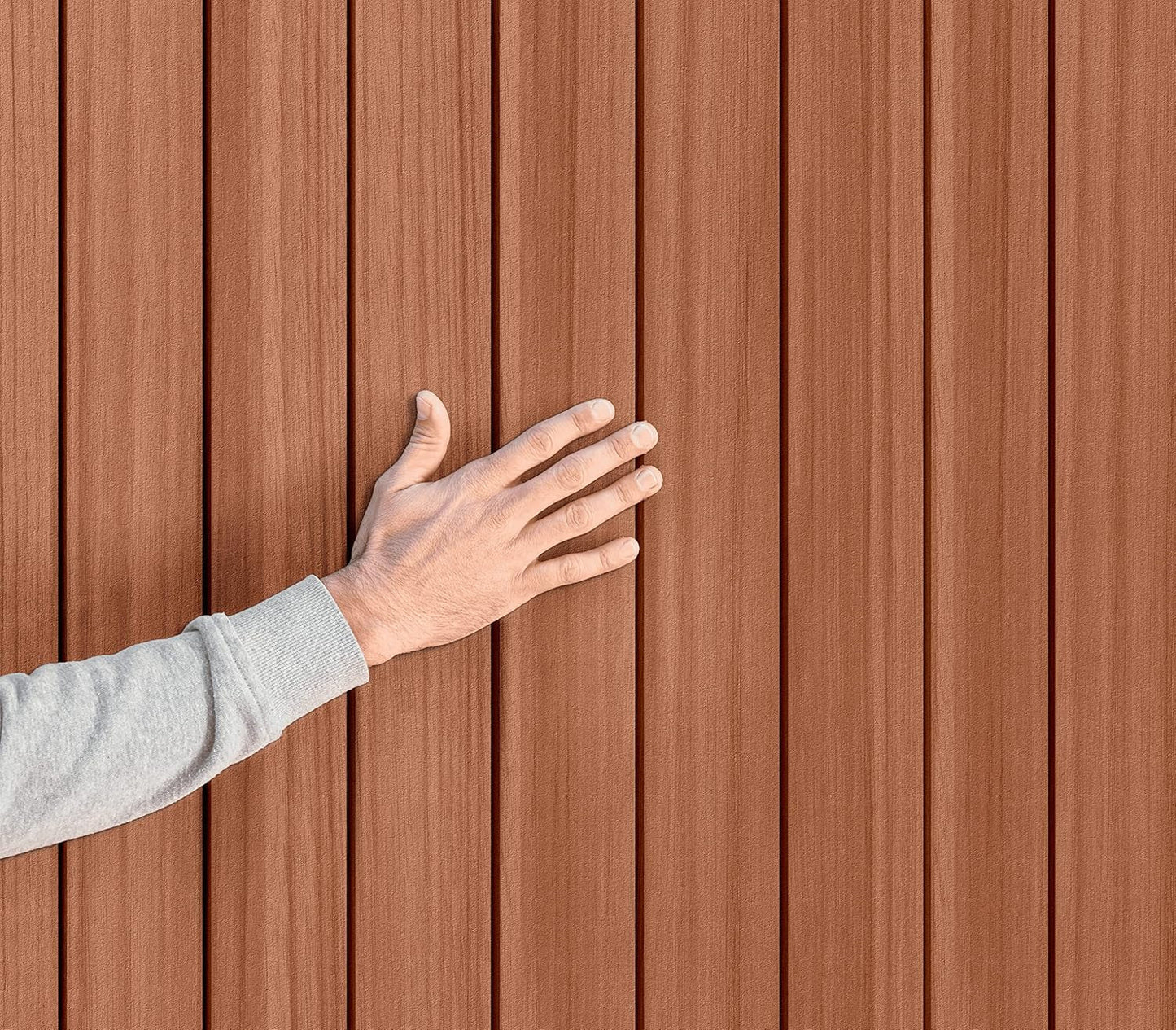 Abri de jardin Darwin 4X6 aspect bois naturel | Composite Evotech, résistant aux intempéries
